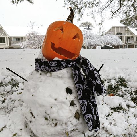 HAPPY HALLOWEEN